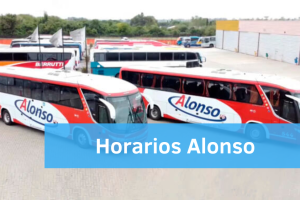 Horario omnibus Alonso
