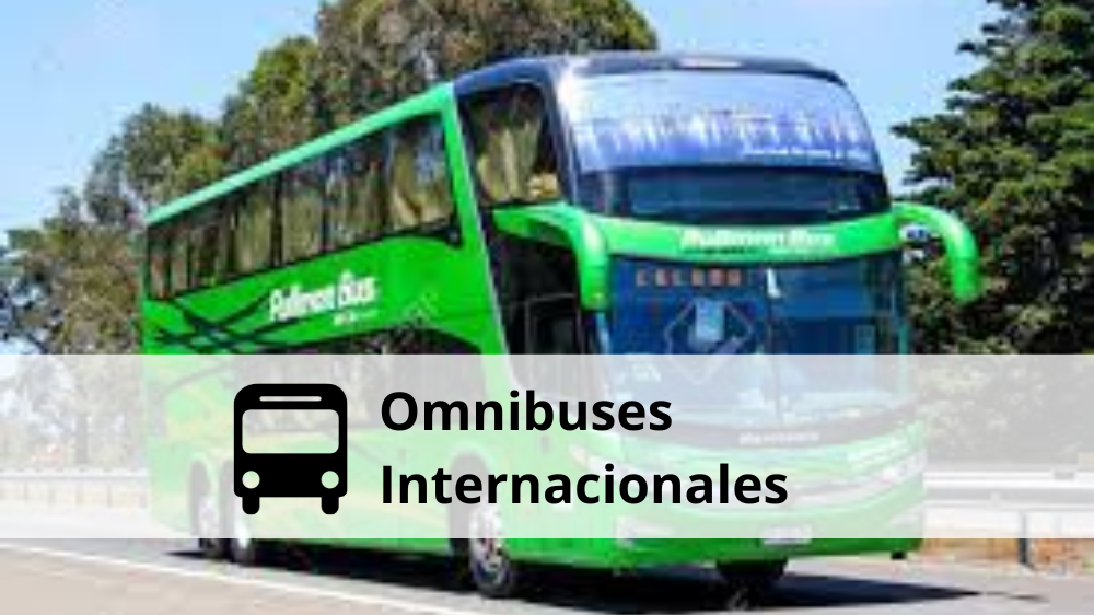 Omnibuses Internacionales