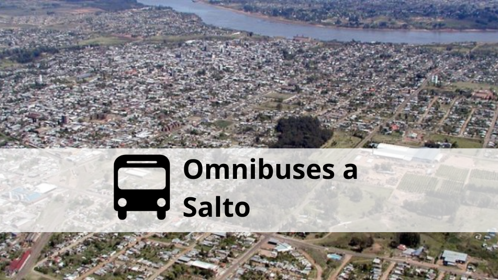 Omnibuses a Salto