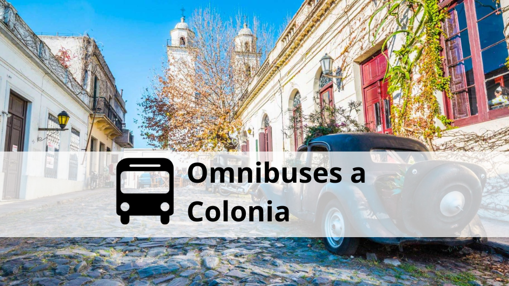 Omnibuses a colonia
