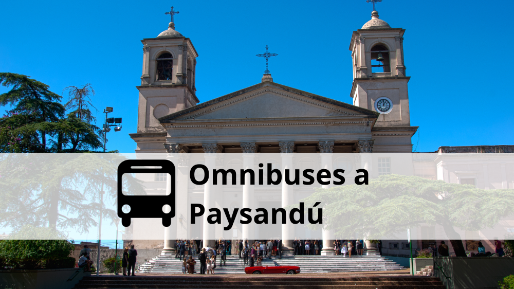 Omnibuses a paysandú